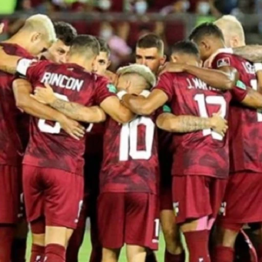 La Vinotinto anunciará su nuevo DT antes del 15 de enero