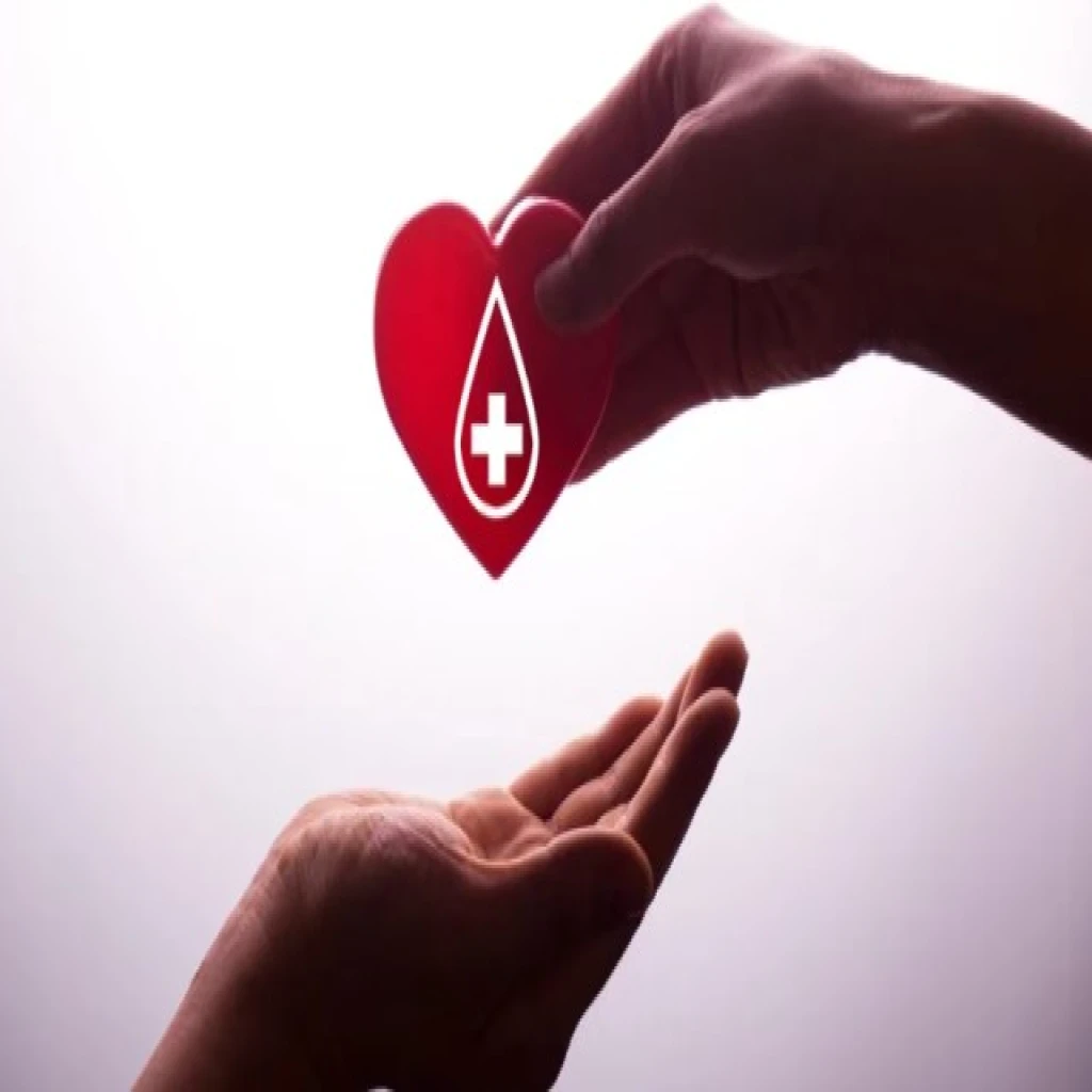 Dia mundial del donante de sangre: la importancia de poner el brazordquo; y salv